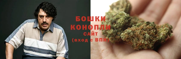 шишки Алзамай