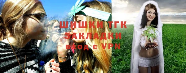 шишки Алзамай