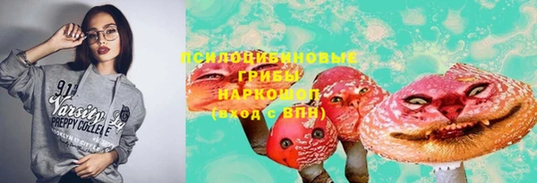 шишки Алзамай