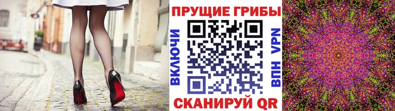 блэк спрут зеркало Новоузенск Псилоцибиновые грибы Psilocybe