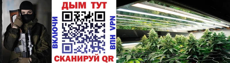 где найти наркотики  Новоузенск  МАРИХУАНА OG Kush 